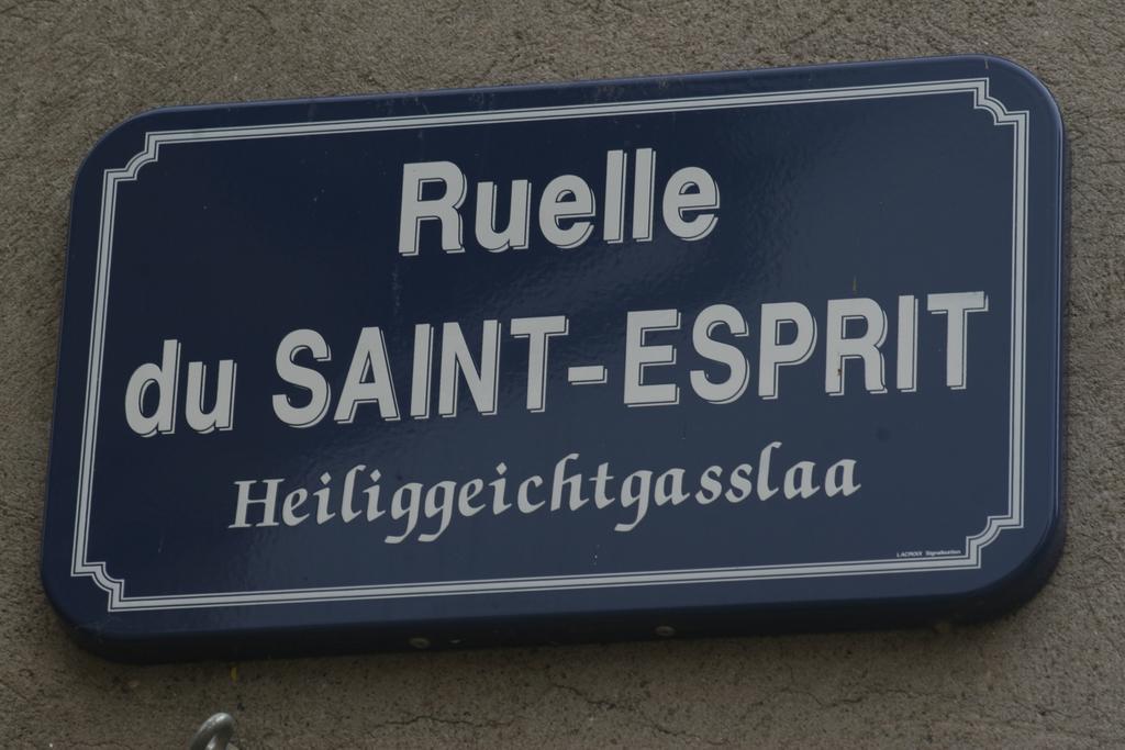 Gite Duplex Du Vignoble Alsace Rouffach Exteriér fotografie