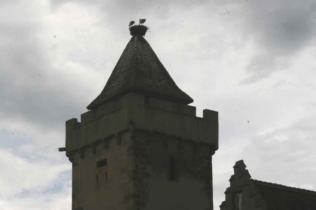 Gite Duplex Du Vignoble Alsace Rouffach Exteriér fotografie