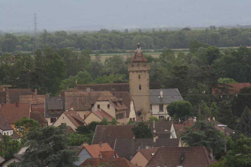 Gite Duplex Du Vignoble Alsace Rouffach Exteriér fotografie