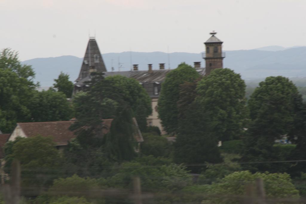 Gite Duplex Du Vignoble Alsace Rouffach Exteriér fotografie
